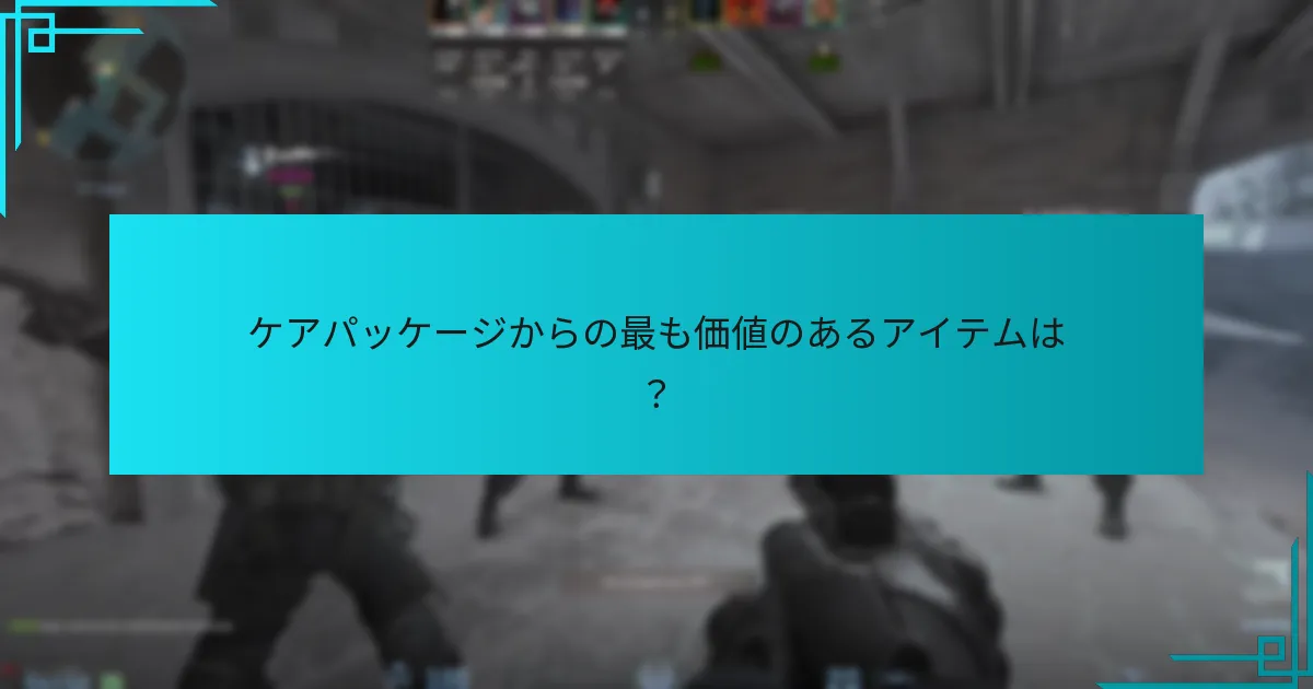 ケアパッケージからの最も価値のあるアイテムは？