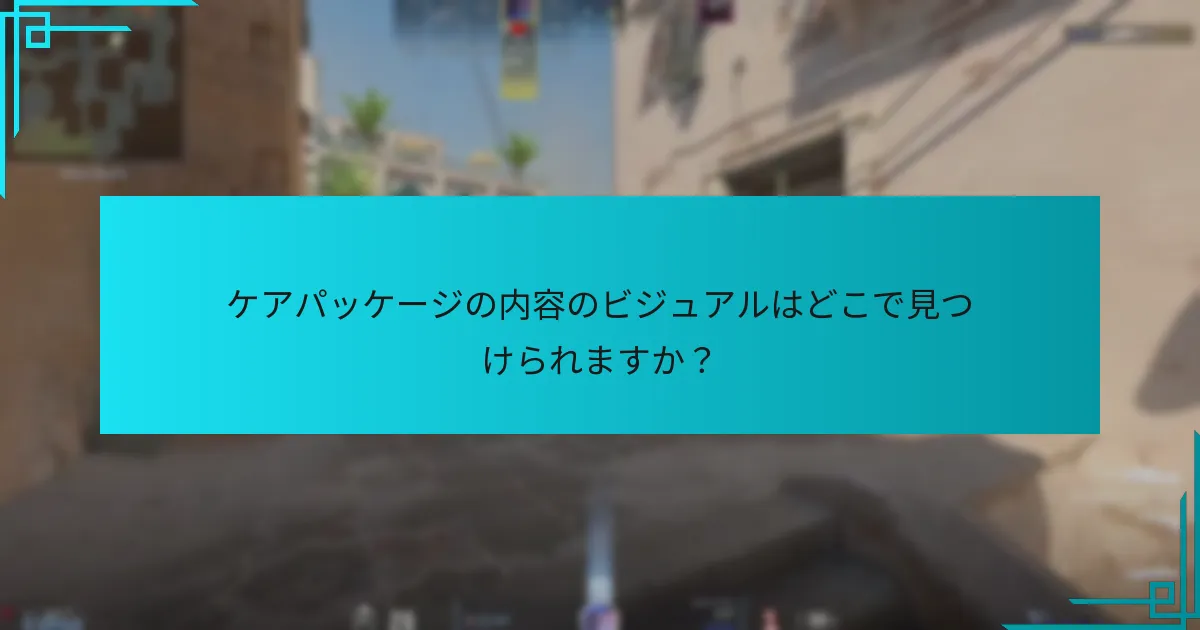 ケアパッケージの内容のビジュアルはどこで見つけられますか？